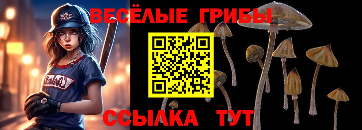 купить закладку  Галлюциногенные грибы Psilocybe  Вход с VPN  Псилоцибиновые грибы прущие грибы  Корсаков 